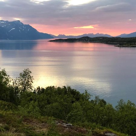 Aaroybukt Guesthouse Aroybukta Экстерьер фото