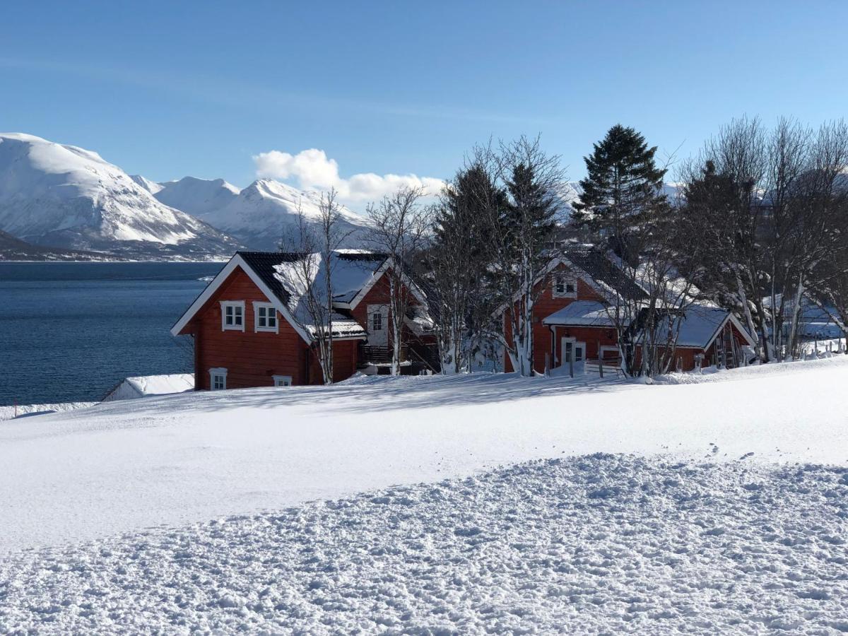 Aaroybukt Guesthouse Aroybukta Экстерьер фото